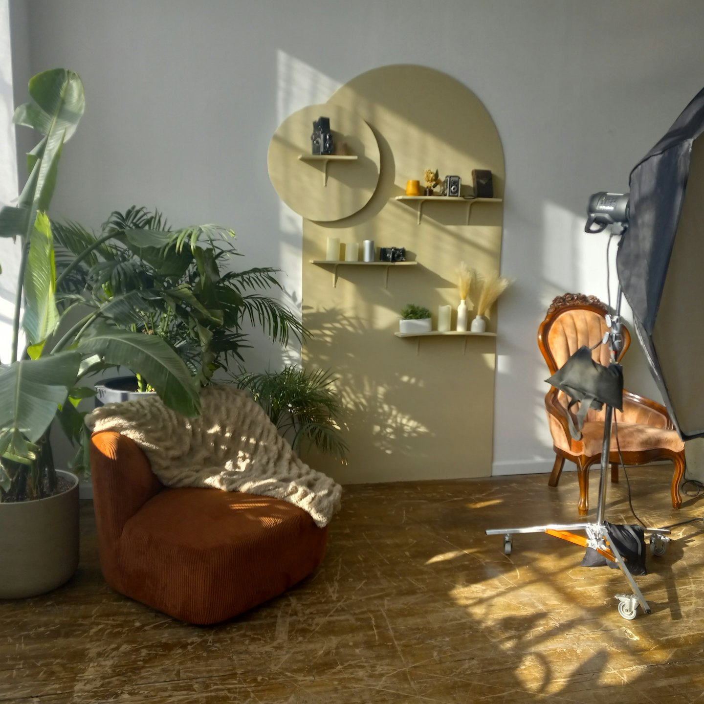 Estudio de fotografía con sillón, plantas y cámaras antiguas.